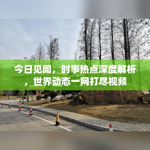 今日见闻，时事热点深度解析，世界动态一网打尽视频