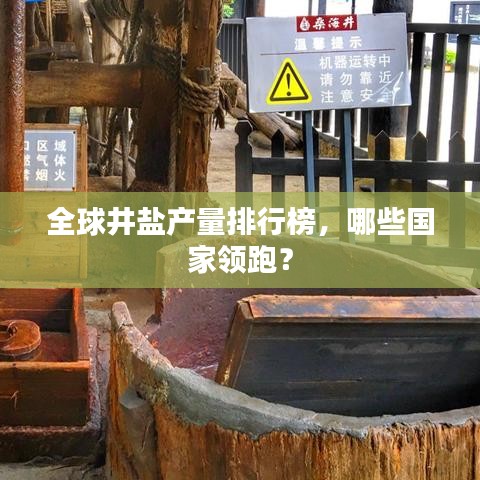 全球井盐产量排行榜，哪些国家领跑？
