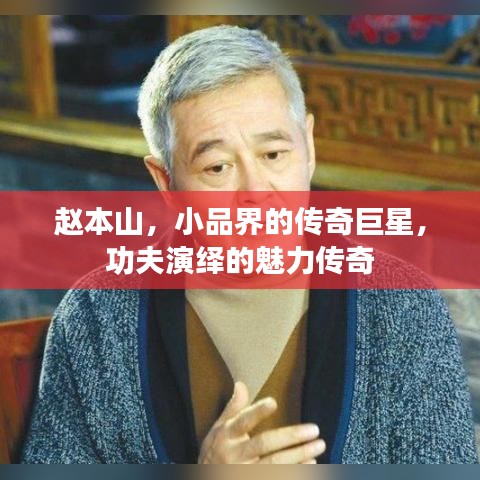 赵本山，小品界的传奇巨星，功夫演绎的魅力传奇