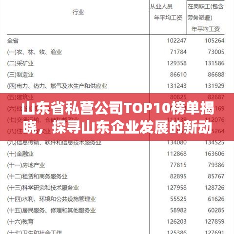山东省私营公司TOP10榜单揭晓，探寻山东企业发展的新动力源泉