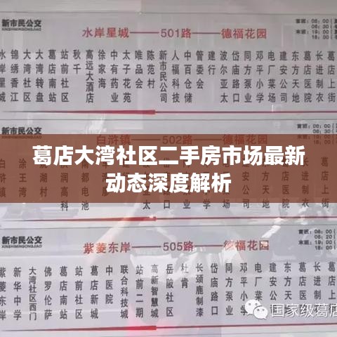 葛店大湾社区二手房市场最新动态深度解析