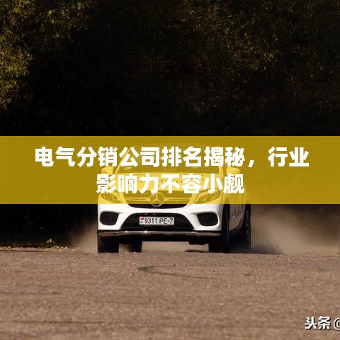 电气分销公司排名揭秘，行业影响力不容小觑