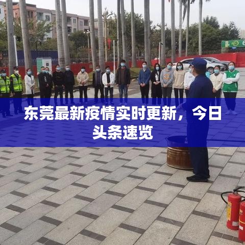 东莞最新疫情实时更新，今日头条速览