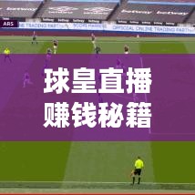 球皇直播赚钱秘籍，最新攻略揭秘！