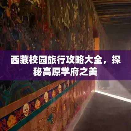 西藏校园旅行攻略大全，探秘高原学府之美