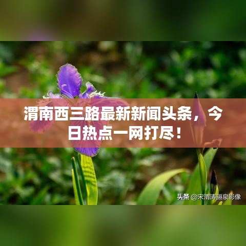渭南西三路最新新闻头条，今日热点一网打尽！