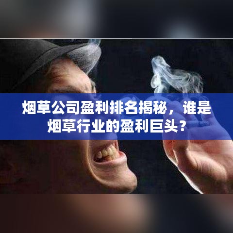 烟草公司盈利排名揭秘，谁是烟草行业的盈利巨头？