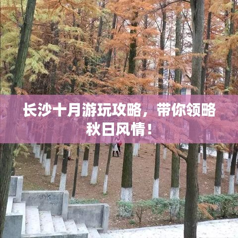 长沙十月游玩攻略，带你领略秋日风情！