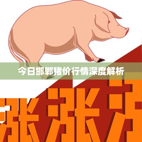 今日邯郸猪价行情深度解析