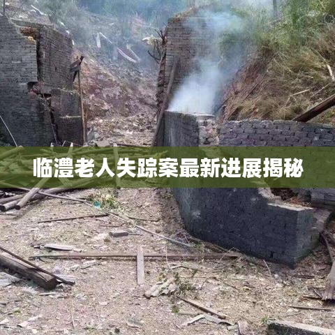 临澧老人失踪案最新进展揭秘