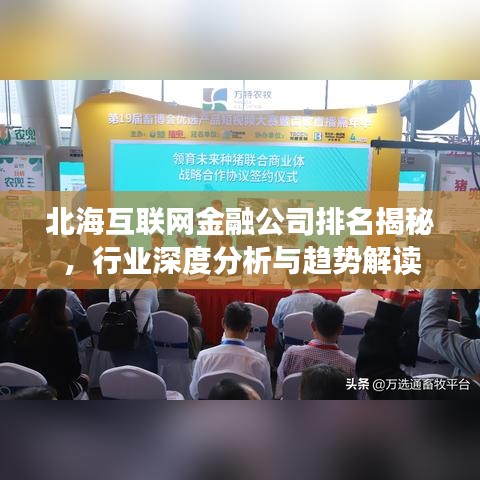 北海互联网金融公司排名揭秘，行业深度分析与趋势解读