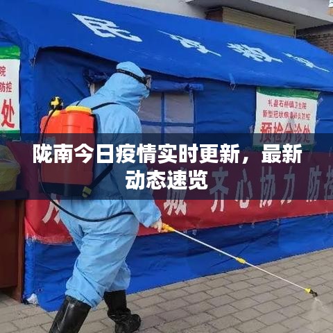 陇南今日疫情实时更新，最新动态速览