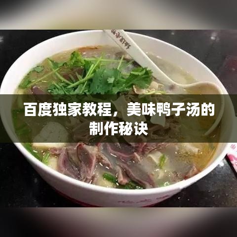 百度独家教程，美味鸭子汤的制作秘诀