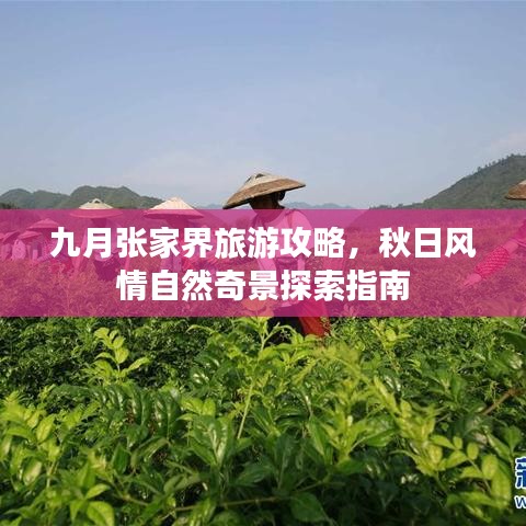 九月张家界旅游攻略，秋日风情自然奇景探索指南