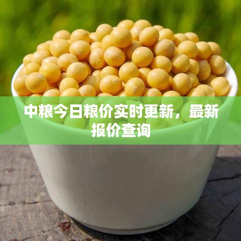 中粮今日粮价实时更新，最新报价查询