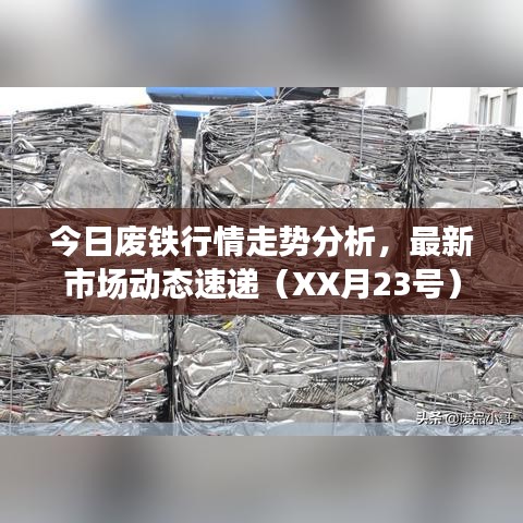 今日废铁行情走势分析，最新市场动态速递（XX月23号）