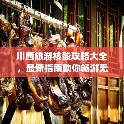 川西旅游核酸攻略大全，最新指南助你畅游无忧！