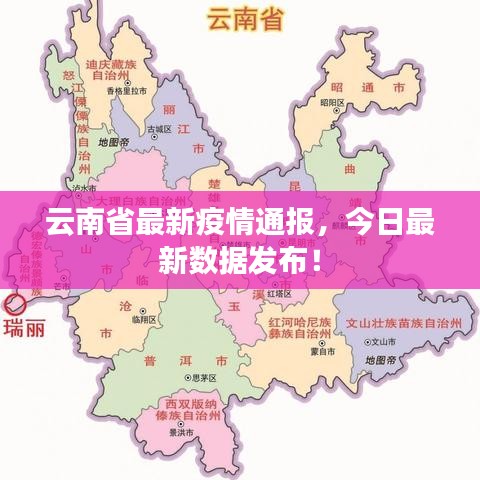 云南省最新疫情通报，今日最新数据发布！