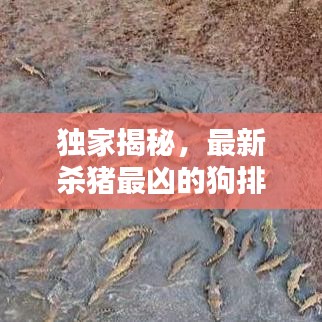 独家揭秘，最新杀猪最凶的狗排名榜TOP榜单！