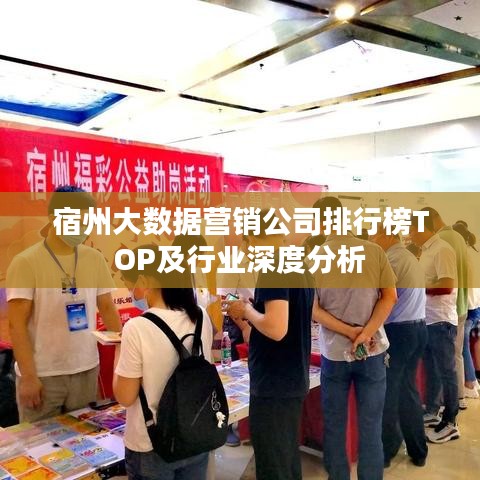 宿州大数据营销公司排行榜TOP及行业深度分析