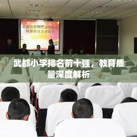 武都小学排名前十强，教育质量深度解析