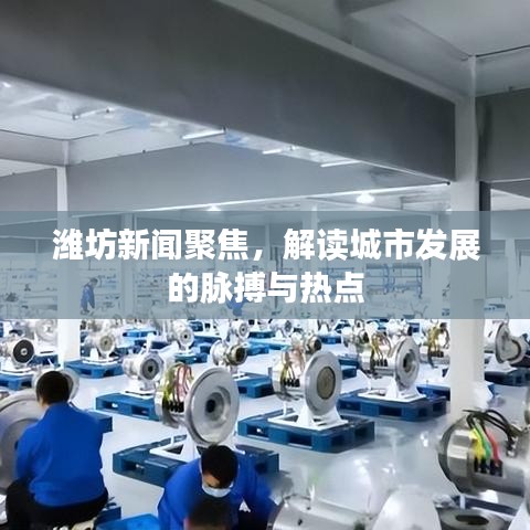 潍坊新闻聚焦，解读城市发展的脉搏与热点