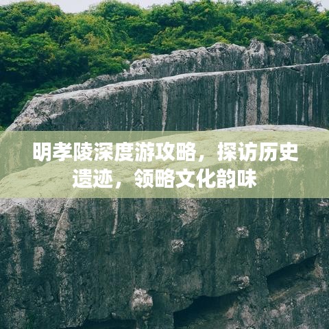 2025年5月17日