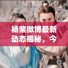 杨紫微博最新动态揭秘，今日惊喜更新！
