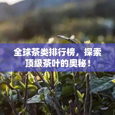 全球茶类排行榜，探索顶级茶叶的奥秘！