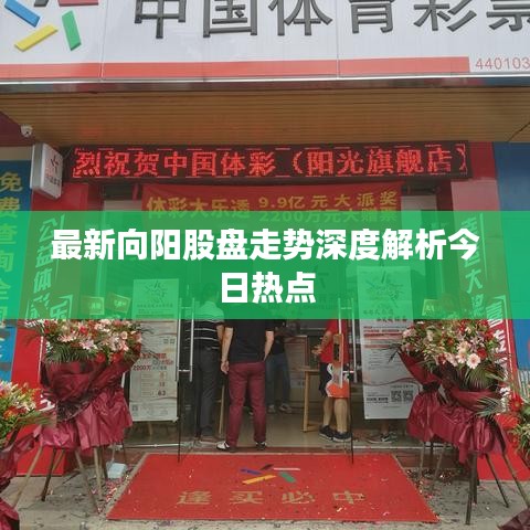 最新向阳股盘走势深度解析今日热点