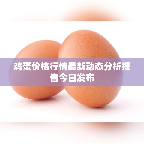 鸡蛋价格行情最新动态分析报告今日发布