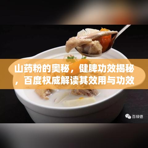 山药粉的奥秘，健脾功效揭秘，百度权威解读其效用与功效！