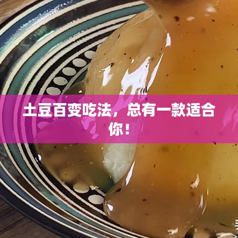 土豆百变吃法，总有一款适合你！