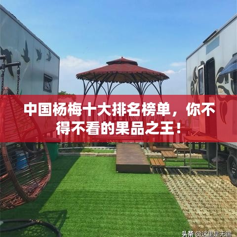 中国杨梅十大排名榜单，你不得不看的果品之王！