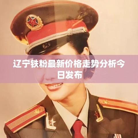 辽宁铁粉最新价格走势分析今日发布