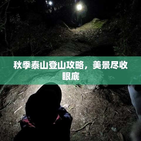 秋季泰山登山攻略，美景尽收眼底