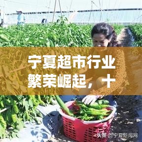 宁夏超市行业繁荣崛起，十强超市领航市场潮流！