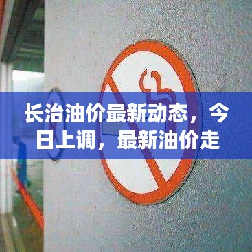 长治油价最新动态，今日上调，最新油价走势一网打尽！