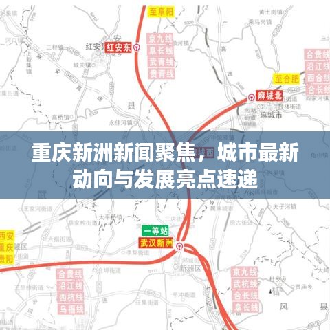 重庆新洲新闻聚焦，城市最新动向与发展亮点速递