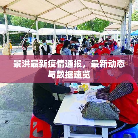 景洪最新疫情通报，最新动态与数据速览
