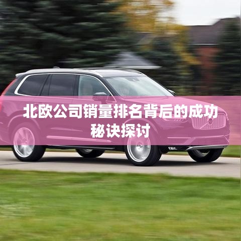 北欧公司销量排名背后的成功秘诀探讨