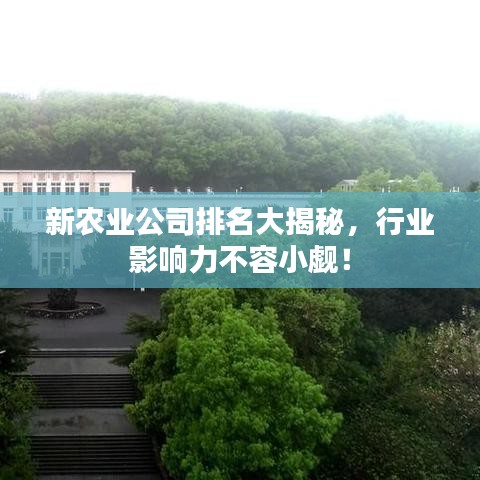 新农业公司排名大揭秘，行业影响力不容小觑！