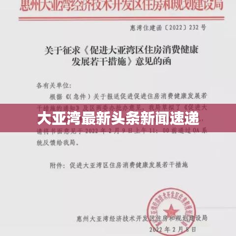 大亚湾最新头条新闻速递