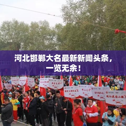 河北邯郸大名最新新闻头条，一览无余！