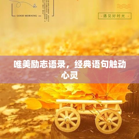 唯美励志语录，经典语句触动心灵