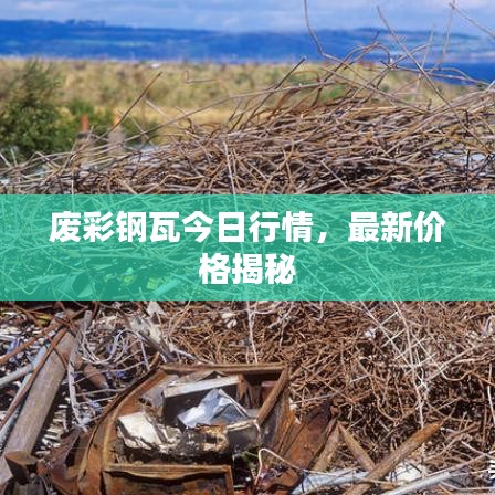 废彩钢瓦今日行情，最新价格揭秘