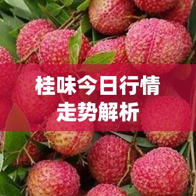 桂味今日行情走势解析