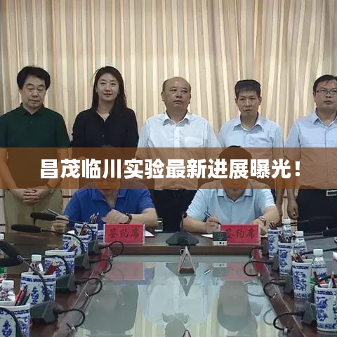 昌茂临川实验最新进展曝光！