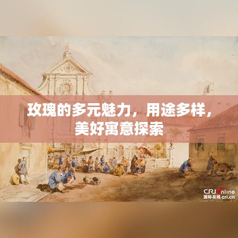 玫瑰的多元魅力，用途多样，美好寓意探索