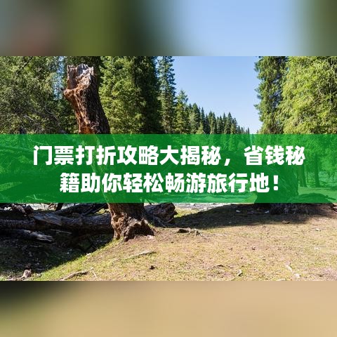 2025年6月15日